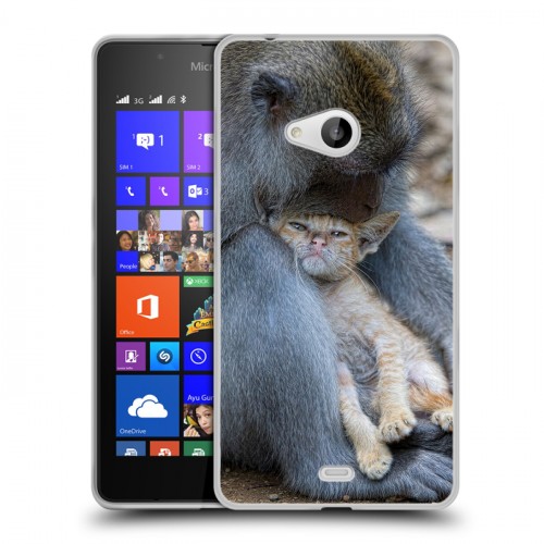 Дизайнерский пластиковый чехол для Microsoft Lumia 540 Обезьяны