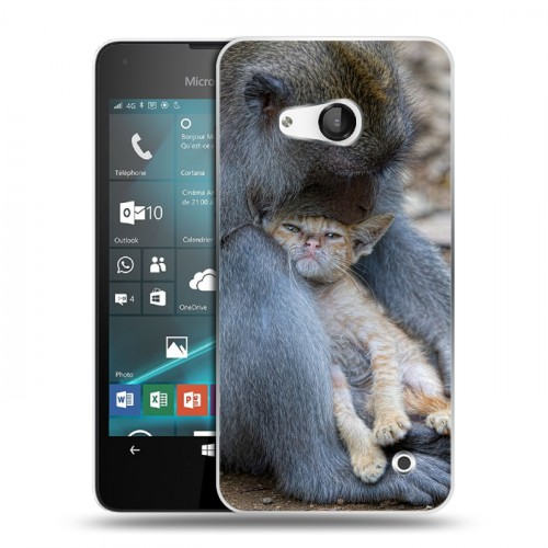 Дизайнерский пластиковый чехол для Microsoft Lumia 550 Обезьяны