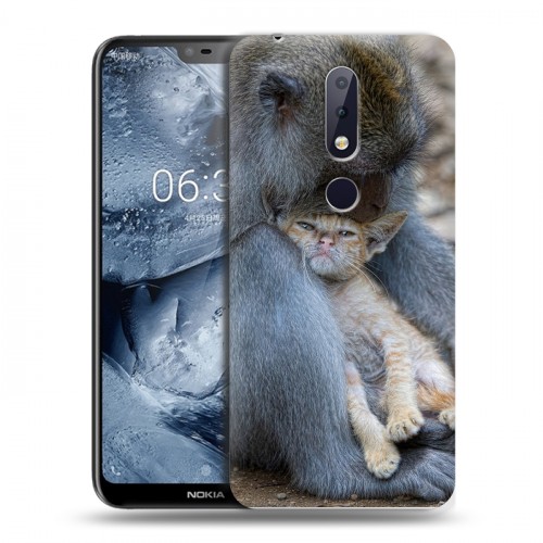 Дизайнерский пластиковый чехол для Nokia 6.1 Plus Обезьяны