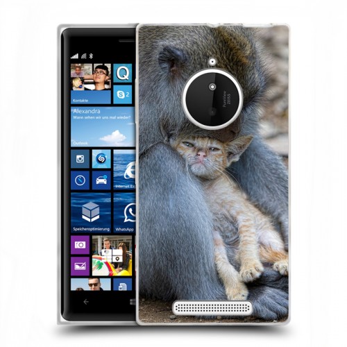 Дизайнерский пластиковый чехол для Nokia Lumia 830 Обезьяны
