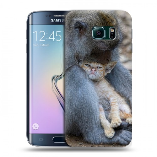 Дизайнерский пластиковый чехол для Samsung Galaxy S6 Edge Обезьяны