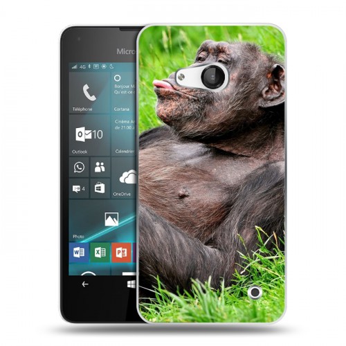 Дизайнерский пластиковый чехол для Microsoft Lumia 550 Обезьяны