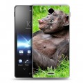 Дизайнерский пластиковый чехол для Sony Xperia TX Обезьяны