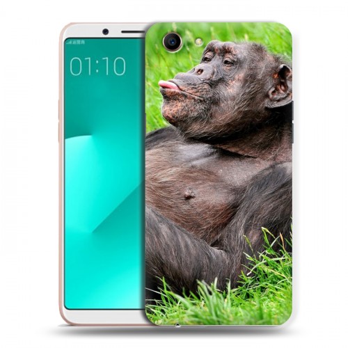 Дизайнерский пластиковый чехол для OPPO A83 Обезьяны