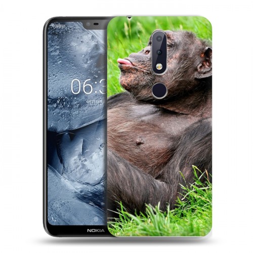 Дизайнерский пластиковый чехол для Nokia 6.1 Plus Обезьяны