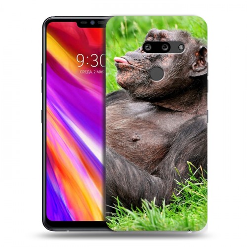 Дизайнерский пластиковый чехол для LG G8 ThinQ Обезьяны