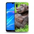 Дизайнерский пластиковый чехол для Huawei Y6 (2019) Обезьяны