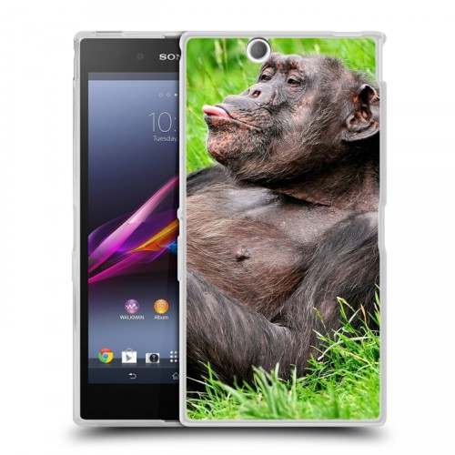 Дизайнерский пластиковый чехол для Sony Xperia Z Ultra  Обезьяны