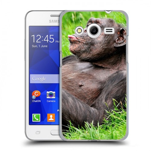 Дизайнерский пластиковый чехол для Samsung Galaxy Core 2 Обезьяны