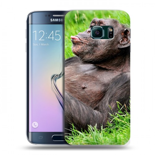 Дизайнерский пластиковый чехол для Samsung Galaxy S6 Edge Обезьяны