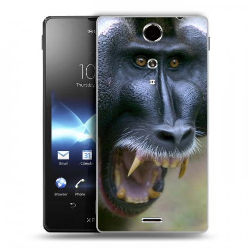 Дизайнерский пластиковый чехол для Sony Xperia TX Обезьяны