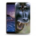 Дизайнерский пластиковый чехол для Nokia 7 Plus Обезьяны