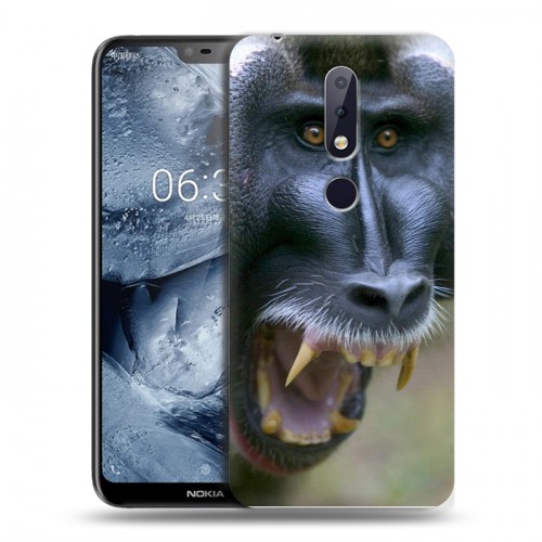 Дизайнерский пластиковый чехол для Nokia 6.1 Plus Обезьяны