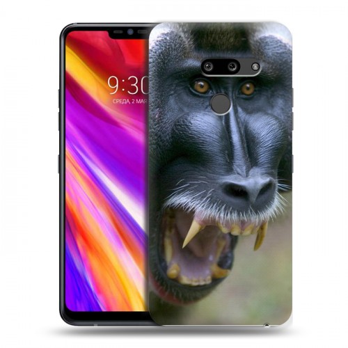 Дизайнерский пластиковый чехол для LG G8 ThinQ Обезьяны