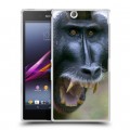 Дизайнерский пластиковый чехол для Sony Xperia Z Ultra  Обезьяны