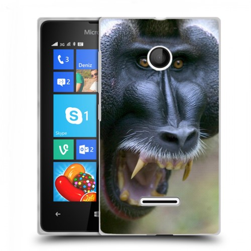 Дизайнерский пластиковый чехол для Microsoft Lumia 435 Обезьяны