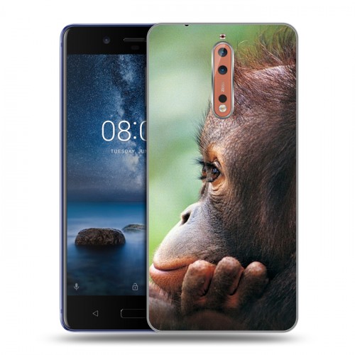 Дизайнерский пластиковый чехол для Nokia 8 Обезьяны