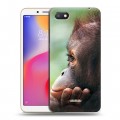 Дизайнерский пластиковый чехол для Xiaomi RedMi 6A Обезьяны