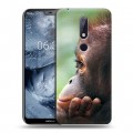 Дизайнерский пластиковый чехол для Nokia 6.1 Plus Обезьяны