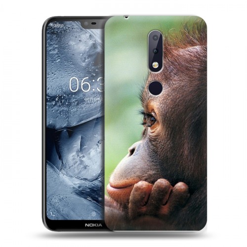 Дизайнерский пластиковый чехол для Nokia 6.1 Plus Обезьяны