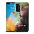 Дизайнерский пластиковый чехол для Huawei P40 Обезьяны