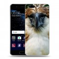 Дизайнерский пластиковый чехол для Huawei P10 Орлы