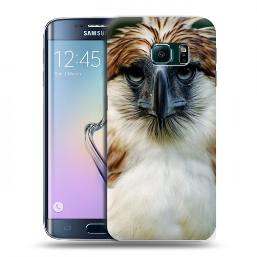 Дизайнерский пластиковый чехол для Samsung Galaxy S6 Edge Орлы