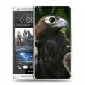 Дизайнерский пластиковый чехол для HTC One (M7) Dual SIM Орлы