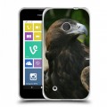 Дизайнерский пластиковый чехол для Nokia Lumia 530 Орлы