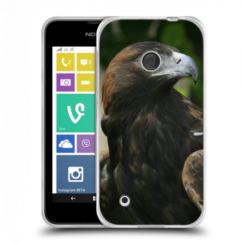 Дизайнерский пластиковый чехол для Nokia Lumia 530 Орлы