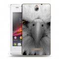 Дизайнерский пластиковый чехол для Sony Xperia E Орлы