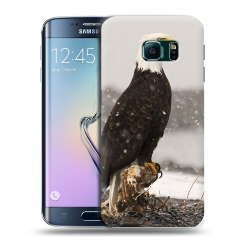 Дизайнерский пластиковый чехол для Samsung Galaxy S6 Edge Орлы