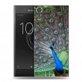 Дизайнерский пластиковый чехол для Sony Xperia XZs Павлины