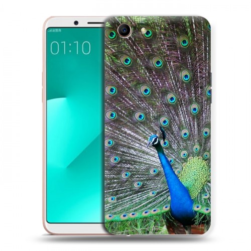 Дизайнерский пластиковый чехол для OPPO A83 Павлины