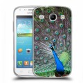 Дизайнерский пластиковый чехол для Samsung Galaxy Core Павлины