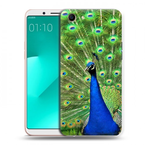 Дизайнерский пластиковый чехол для OPPO A83 Павлины