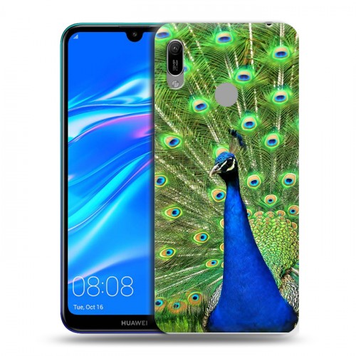 Дизайнерский пластиковый чехол для Huawei Y6 (2019) Павлины