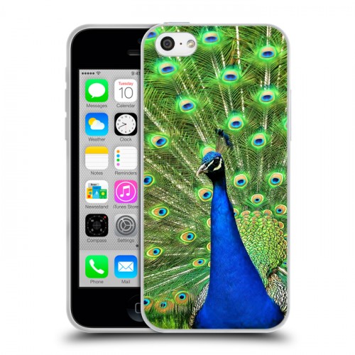 Дизайнерский пластиковый чехол для Iphone 5c Павлины