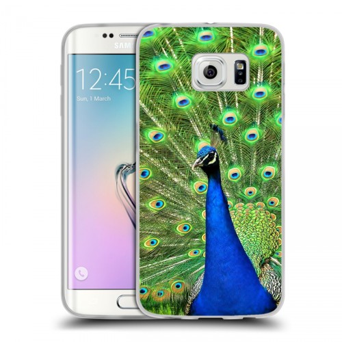 Дизайнерский пластиковый чехол для Samsung Galaxy S6 Edge Павлины