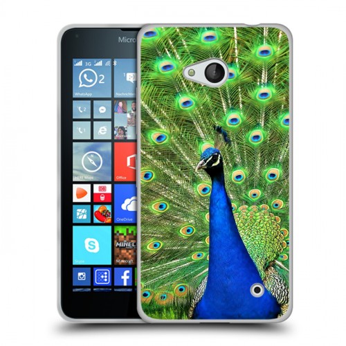 Дизайнерский пластиковый чехол для Microsoft Lumia 640 Павлины