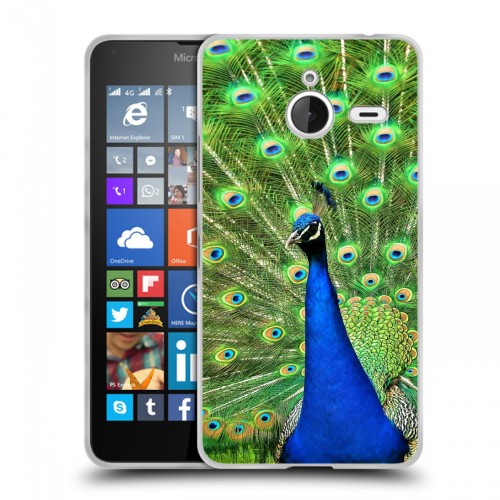 Дизайнерский пластиковый чехол для Microsoft Lumia 640 XL Павлины