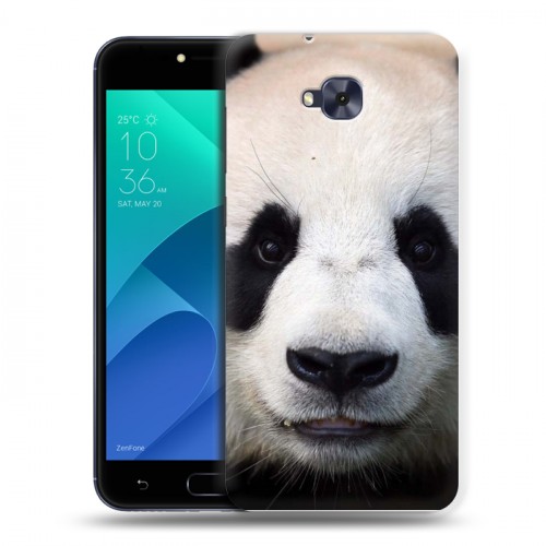 Дизайнерский пластиковый чехол для ASUS ZenFone 4 Selfie Панды