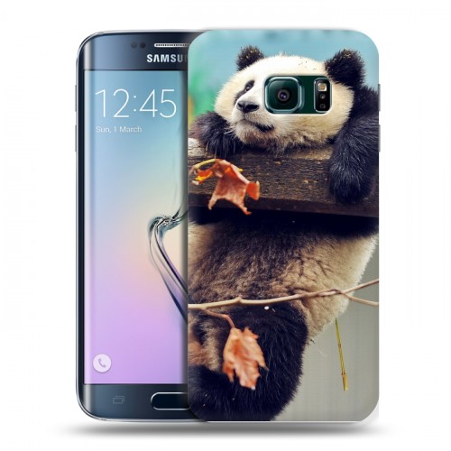 Дизайнерский силиконовый чехол для Samsung Galaxy S6 Edge Панды