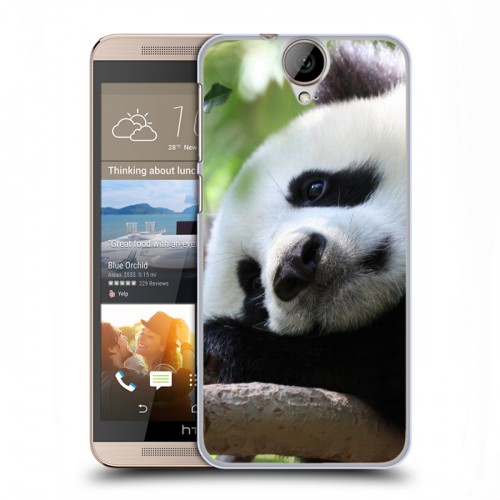 Дизайнерский пластиковый чехол для HTC One E9+ Панды