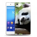 Дизайнерский пластиковый чехол для Sony Xperia Z3+ Панды