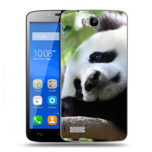 Дизайнерский пластиковый чехол для Huawei Honor 3C Lite Панды