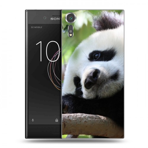 Дизайнерский пластиковый чехол для Sony Xperia XZs Панды