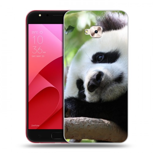 Дизайнерский пластиковый чехол для ASUS ZenFone 4 Selfie Pro Панды