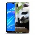 Дизайнерский пластиковый чехол для Huawei Y6 (2019) Панды