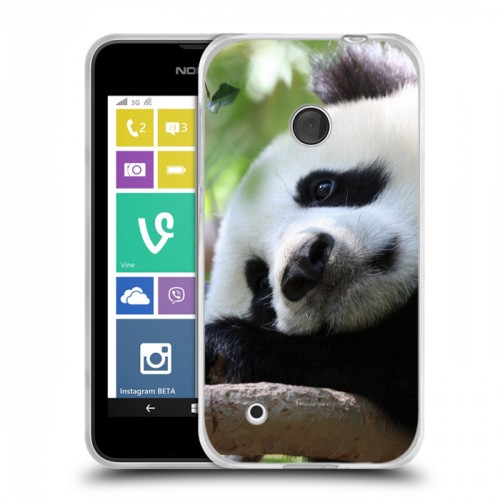 Дизайнерский пластиковый чехол для Nokia Lumia 530 Панды